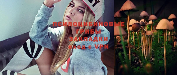стафф Баксан