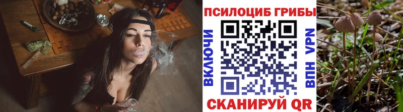 OMG tor  что такое наркотик  Лагань  Псилоцибиновые грибы GOLDEN TEACHER 